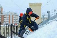 В Петербурге возбудили дело по факту убийства собаки глыбой льда