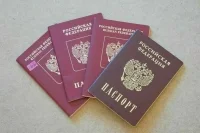 Законопроект об упрощенном приеме в гражданство РФ жителей стран Балтии внесли в Госдуму 