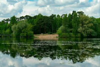 Законопроект о безопасности на воде разрабатывают в России