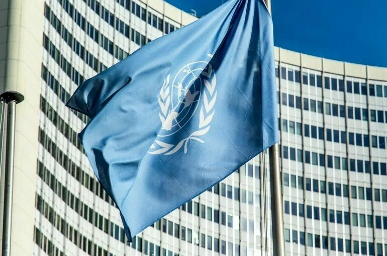 Россия распространила в ООН примеры ненавистнических заявлений украинских политиков