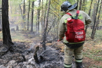 В Якутии из-за лесных пожаров объявили режим ЧС 