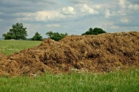 Навоз предлагают не считать отходами