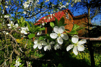 Как воспользоваться дачной амнистией