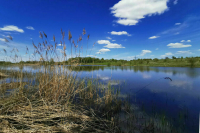 Роспотребнадзор рассказал, в каких водоемах нельзя купаться