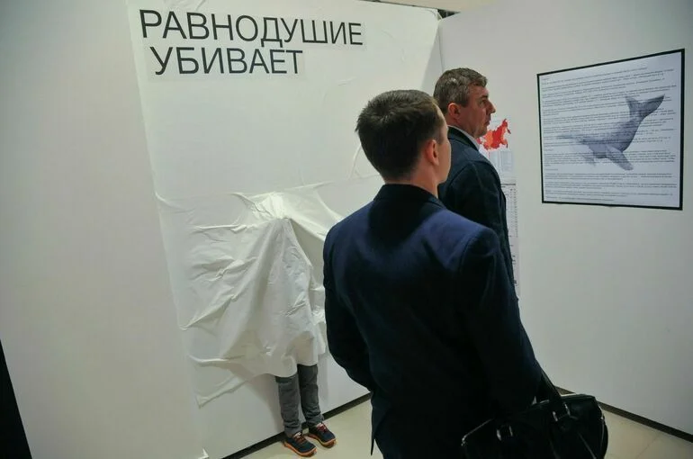 Социальную рекламу предложили включить в рекомендательные алгоритмы сервисов