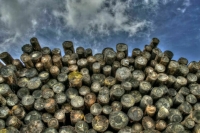 Изъятую у черных лесорубов древесину собираются продавать быстрее