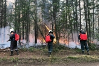 В Республике Саха за сутки потушили восемь лесных пожаров 