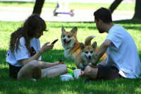 Когда отменят оранжевый уровень погодной опасности в Москве