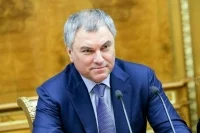 Володин призвал депутатов во время летнего отпуска съездить в ДНР и ЛНР