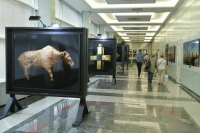 В Госдуме открылась выставка археологических артефактов последних лет