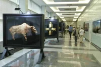В Госдуме открылась выставка археологических артефактов последних лет