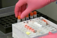 Минобороны обвинило фирмы сына Байдена в создании вредящих экономике инфекций