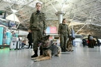 В Госдуму внесен законопроект о гармонизации таможенного законодательства РФ и Белоруссии