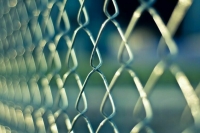 В Финляндии утвердили поправки, позволяющие возвести забор на границе с РФ