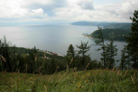 На Байкальской природной территории предложили разрешить санитарные рубки деревьев