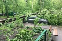 Кто ответит за поврежденный ураганом автомобиль