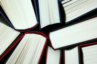 Опрос: 42% россиян считают, что курс иностранного языка должен оплачивать работодатель