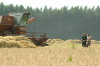 В Турции сообщили о договоренностях по созданию координационного центра по зерну