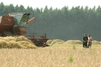 В Турции сообщили о договоренностях по созданию координационного центра по зерну