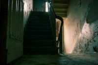 СМИ: В Ленобласти женщину подозревают в убийстве подруги из-за долга