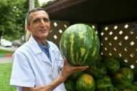 В Роспотребнадзоре рассказали, как выбрать спелый арбуз