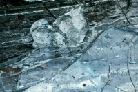 Российские военные нанесли ответный удар после обстрела ВСУ в Брянской области