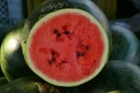 В Роспотребнадзоре рассказали, как правильно выбрать вкусный арбуз 