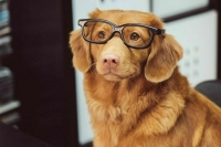 Как поддержать остроту зрения