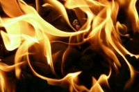 Площадь пожара на складе Ozon в Истре составляет 20 тыс. квадратных метров