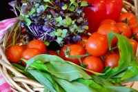 Что нужно успеть сделать на огороде в августе