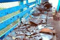 Минобороны заявило о требовании Украины разместить пленных в Еленовке