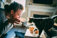 Как выбрать породу кошек под свой характер