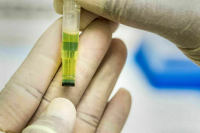 Минобороны заявило об испытаниях незарегистрированных лекарств на жителях ЛНР