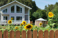 Где лучше — в загородном доме или в квартире?