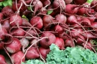 Минсельхоз планирует перейти на квоты в импорте семян