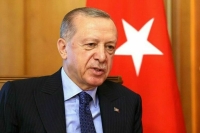 Эрдоган заявил Путину о новой странице в сотрудничестве стран