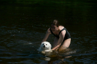 Список безопасных для купания пляжей в Ленобласти расширили