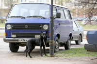 Эксперт предупредил о росте активности автомобильных воров