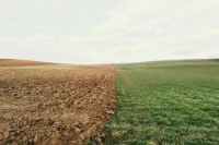 СВР: Польша планирует взять под контроль аграрную отрасль Украины