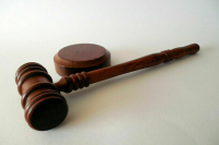 Суд отправил &laquo;скопинского маньяка&raquo; под домашний арест