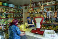 Дачникам хотят разрешить строительство сельпо