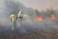 Площадь пожара в одной из станиц Ростовской области увеличилась до 136 га