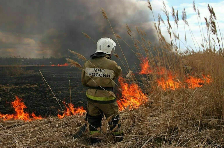 При пожаре в ростовской станице пострадали более 50 человек