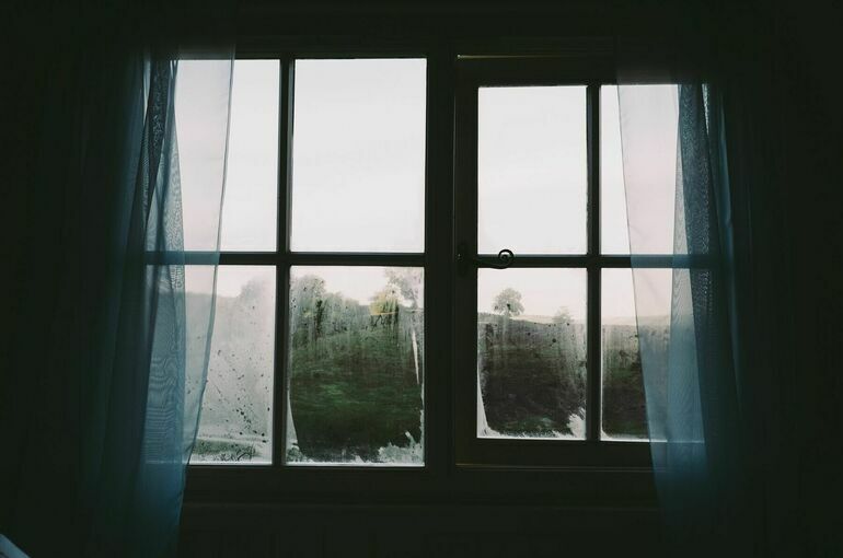 В Кронштадте почти полтысячи домов остались без света и воды из-за птицы