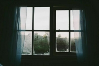 В Кронштадте почти полтысячи домов остались без света и воды из-за птицы