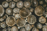 Жителей Львова призвали запасаться дровами на зиму