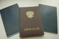 В Минобрнауки рассказали, сколько вузов ДНР и ЛНР получат поддержку