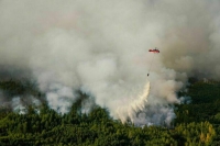 Эколог рассказала о влиянии смога на окружающую среду