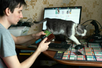 Минцифры в сентябре представит проект об оборотных штрафах за потерю данных