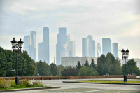 Москвичам из-за смога порекомендовали пить отвар шиповника и реже выходить на улицу